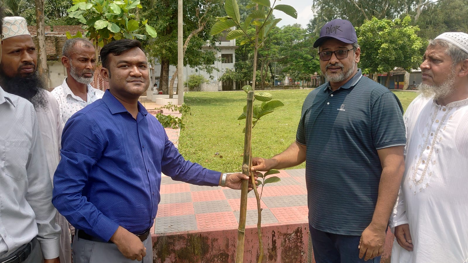 উলিপুরে বৃক্ষরোপণ কর্মসূচির উদ্বোধন