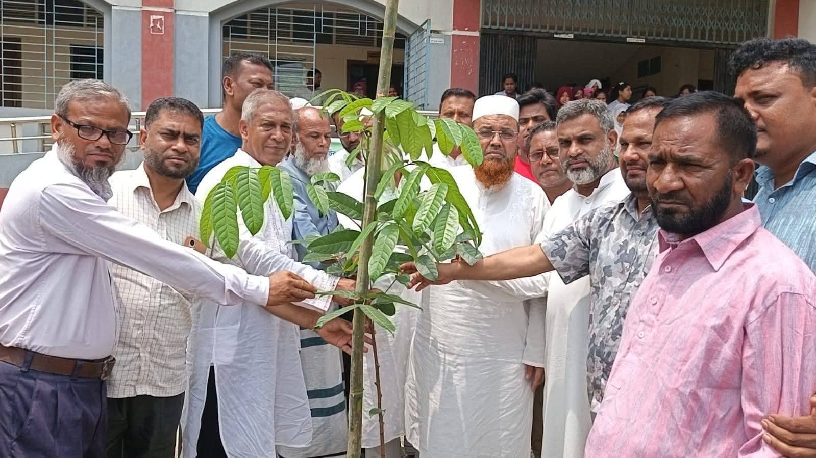 যাত্রাপুর চাকেন্দা খান পাড়া উচ্চ বিদ্যালয়ে বৃক্ষরোপণ কর্মসূচি অনুষ্ঠিত