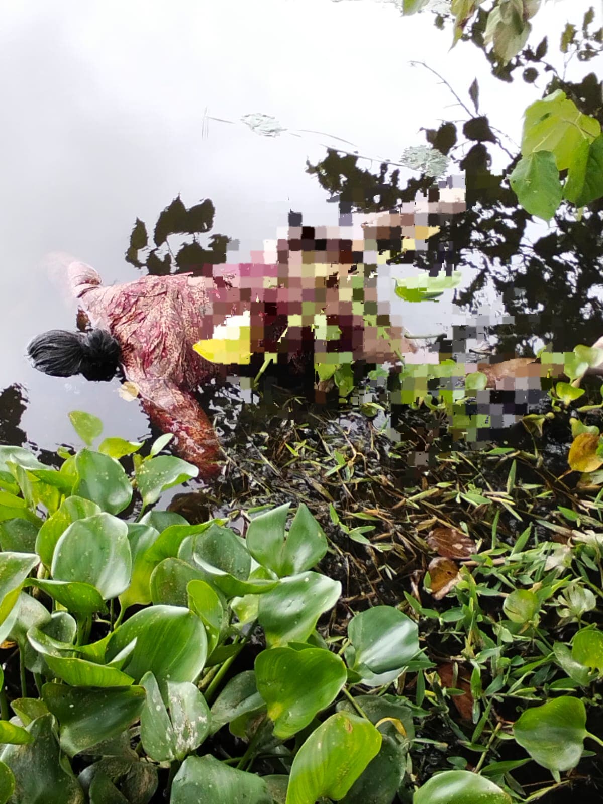 রৌমারীতে নিখোঁজের তিন দিন পর বিল থেকে গৃহবধূর লাশ উদ্ধার