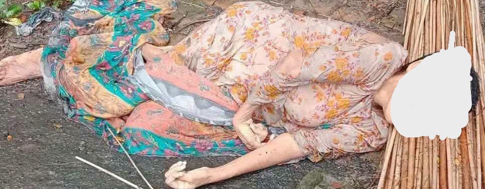 গোপালগঞ্জে গাড়ির ধাক্কায় অজ্ঞাত বৃদ্ধার মৃত্যু