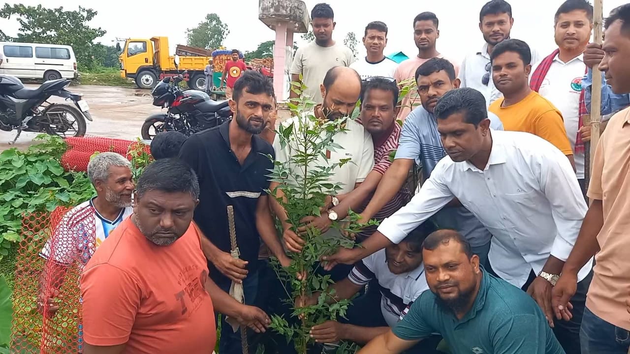 ভারপ্রাপ্ত স্পিকার ব্যারিস্টার কায়সার কামালের উদ্যোগে পাঁচ শতাধিক বৃক্ষরোপণ